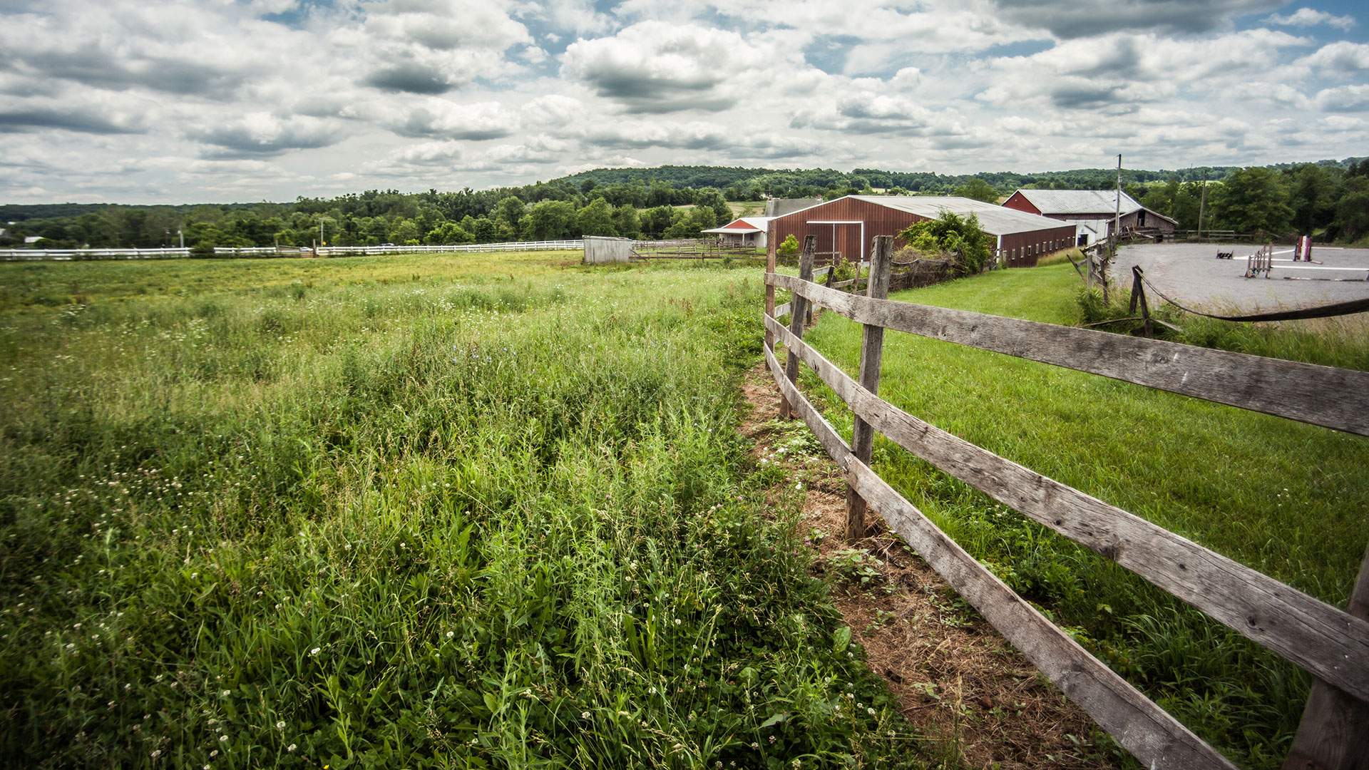 BUYING THE FARM DREAM