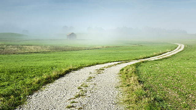 CAN'T FIND MY WAY HOME DREAM