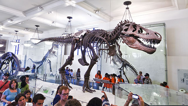CHASED BY DINOSAURS DREAM