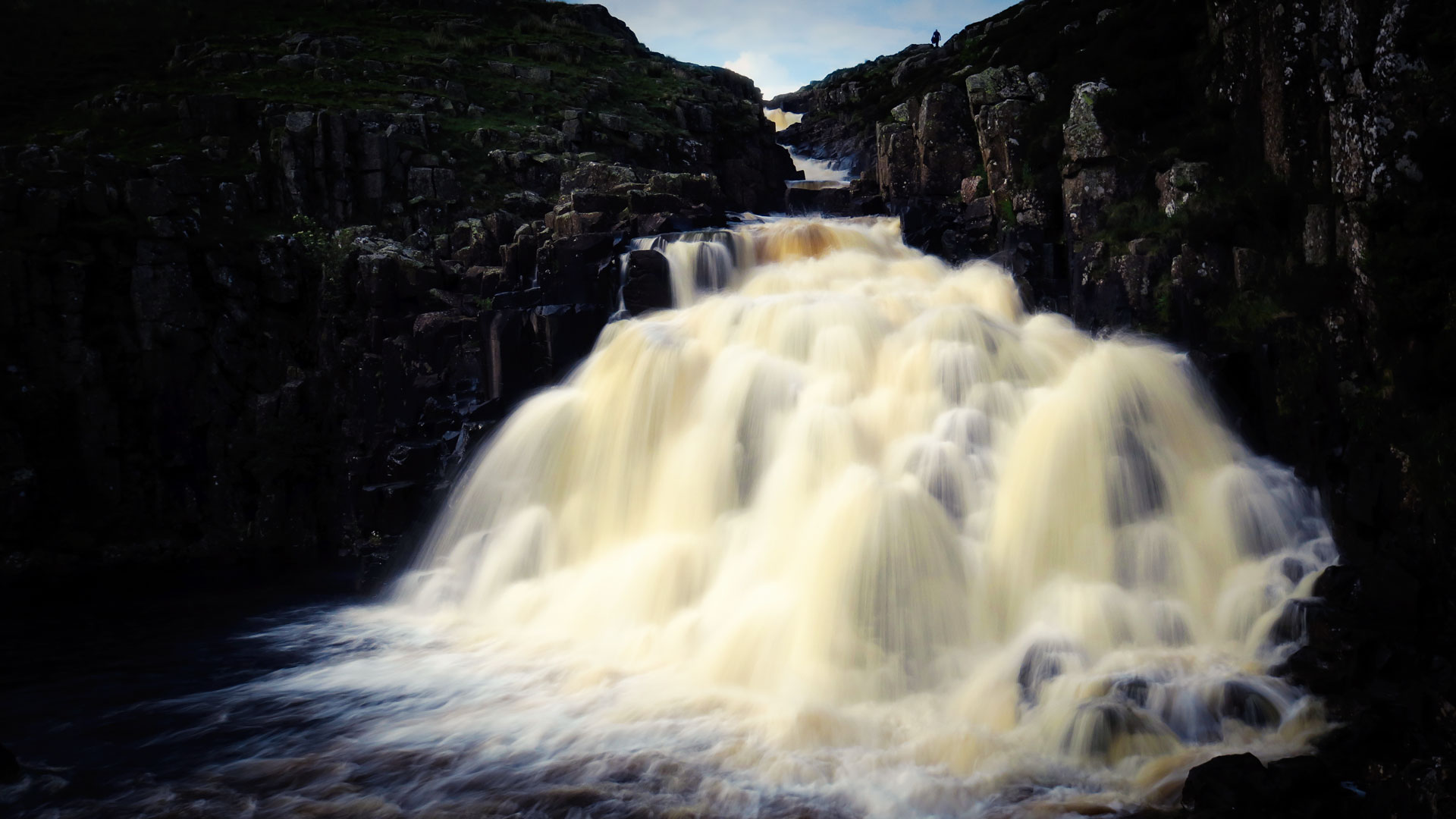 DREAM DELUGE