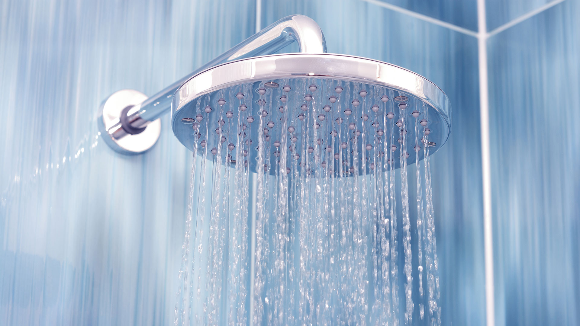 FINDING A SHOWER DREAM