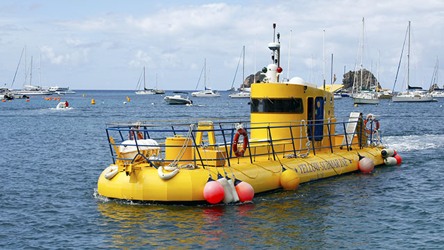 MIDGET SUBMARINE BED DREAM