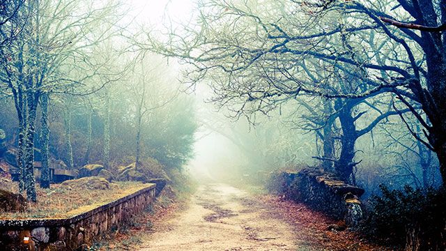 NARROW PATH, SMALL OPENING DREAM