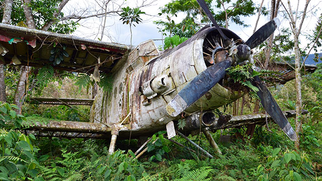 POSSIBLE PRECOGNITIVE PLANE CRASH DREAM
