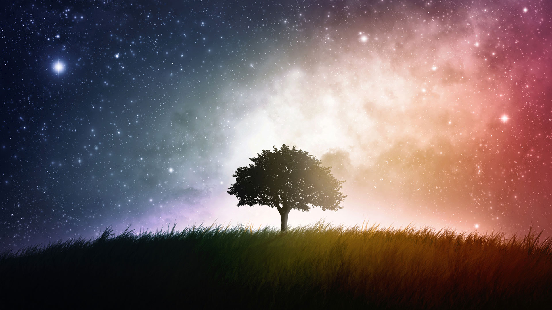 SOUL AND SPIRIT DREAMS