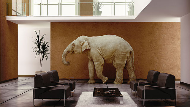 TALKING BEE, ROBOT ELEPHANT DREAM
