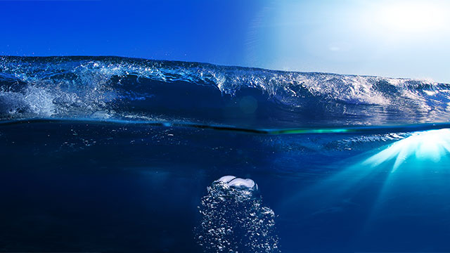 TSUNAMI AND FISH DREAMS